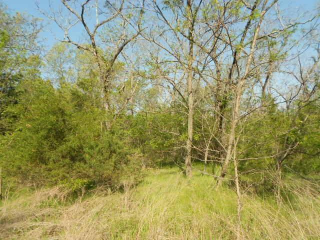 0 County Road 2155 - Photo 1