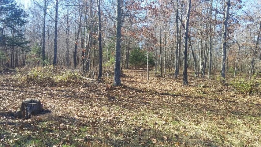 Lot 11 Fox Circle Drive - Photo 1