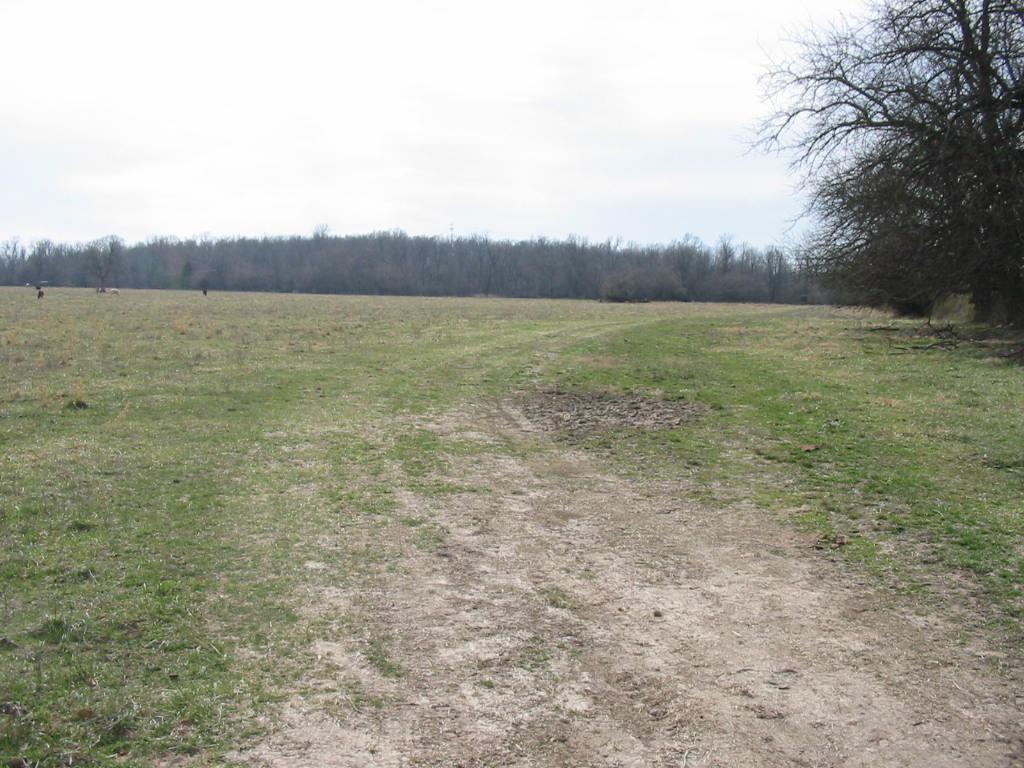 6700 Farm Rd 106 - Photo 1