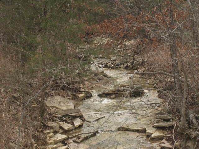 1008 State Hwy H - Photo 1