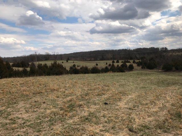 Tract 5 Nantuckett Drive - Photo 1