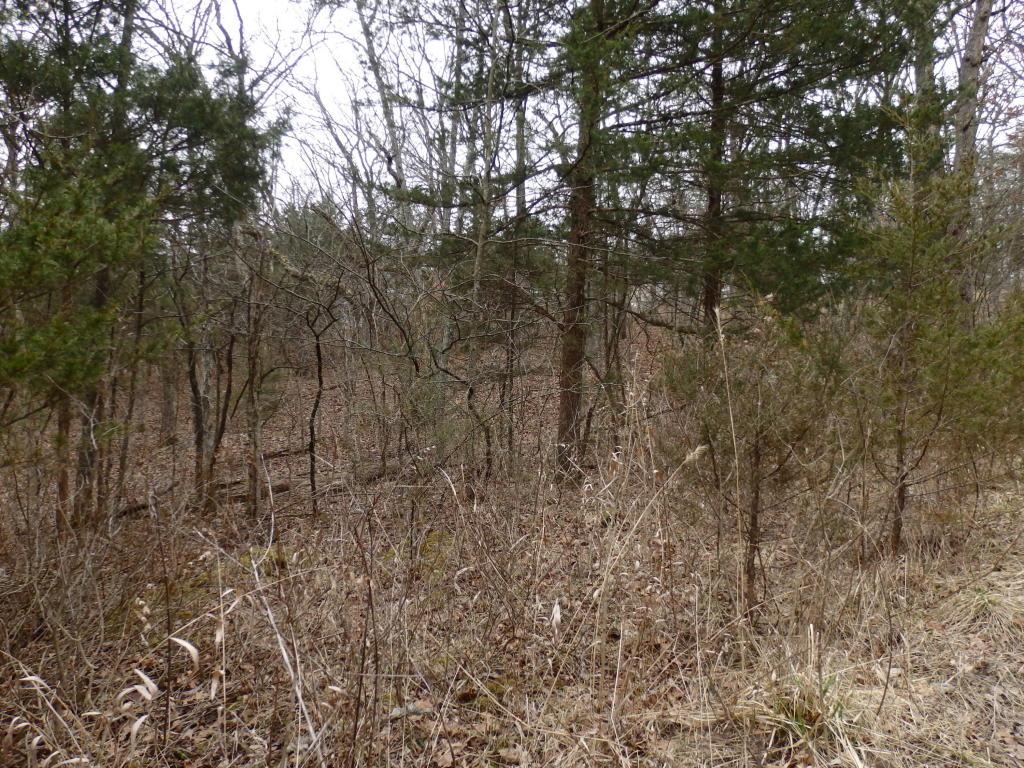 Tbd Minnow Bucket Trail - Photo 1