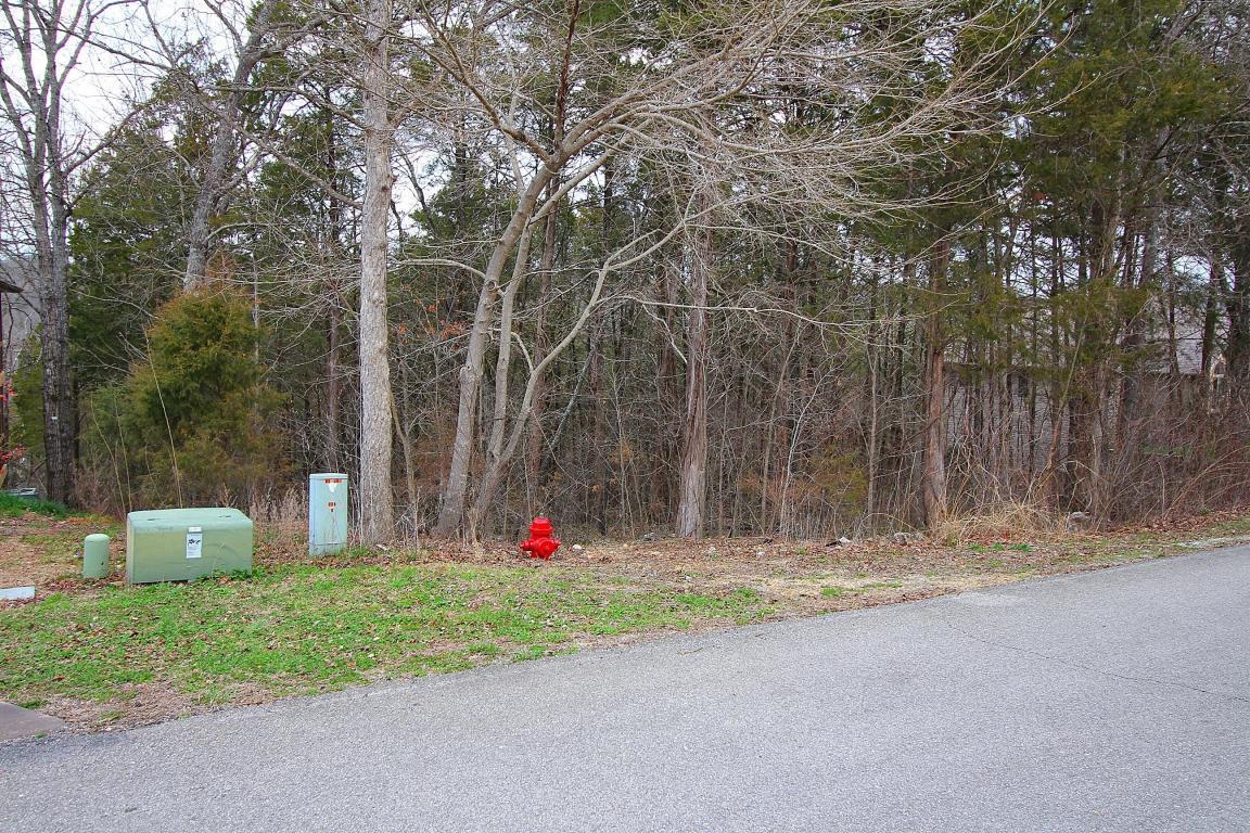 Lot 4 Silvercliff Way - Photo 1