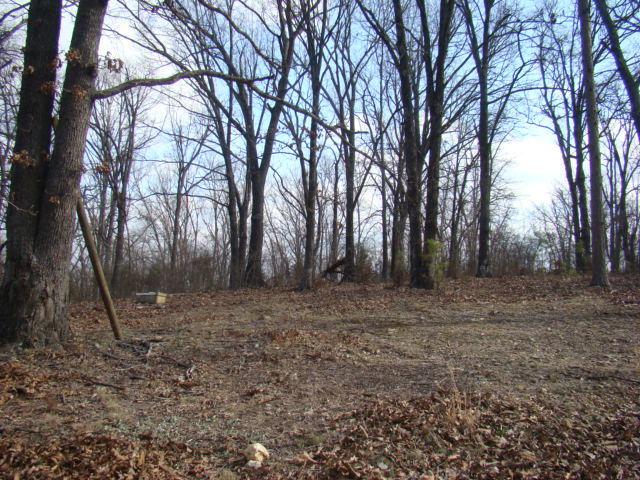 Tbd Macy Drive Rocky, Paradise - Photo 1
