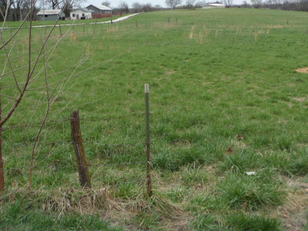 Tbd County Road 173 - Photo 1