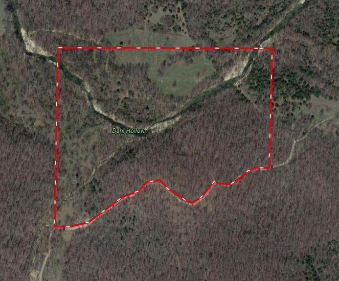 Tbd Farewell Road Tract 3 - Photo 1