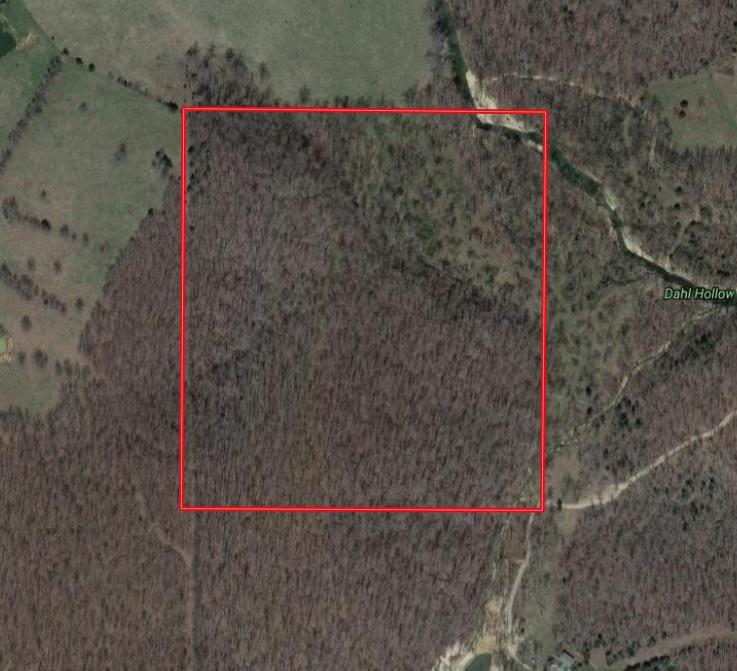 Tbd Farewell Road Tract 4 - Photo 1