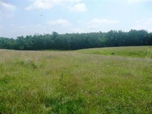 T 1 North Farm Road 189 - Photo 1