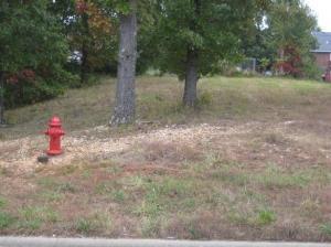1580 Spring Hill Street - Photo 1