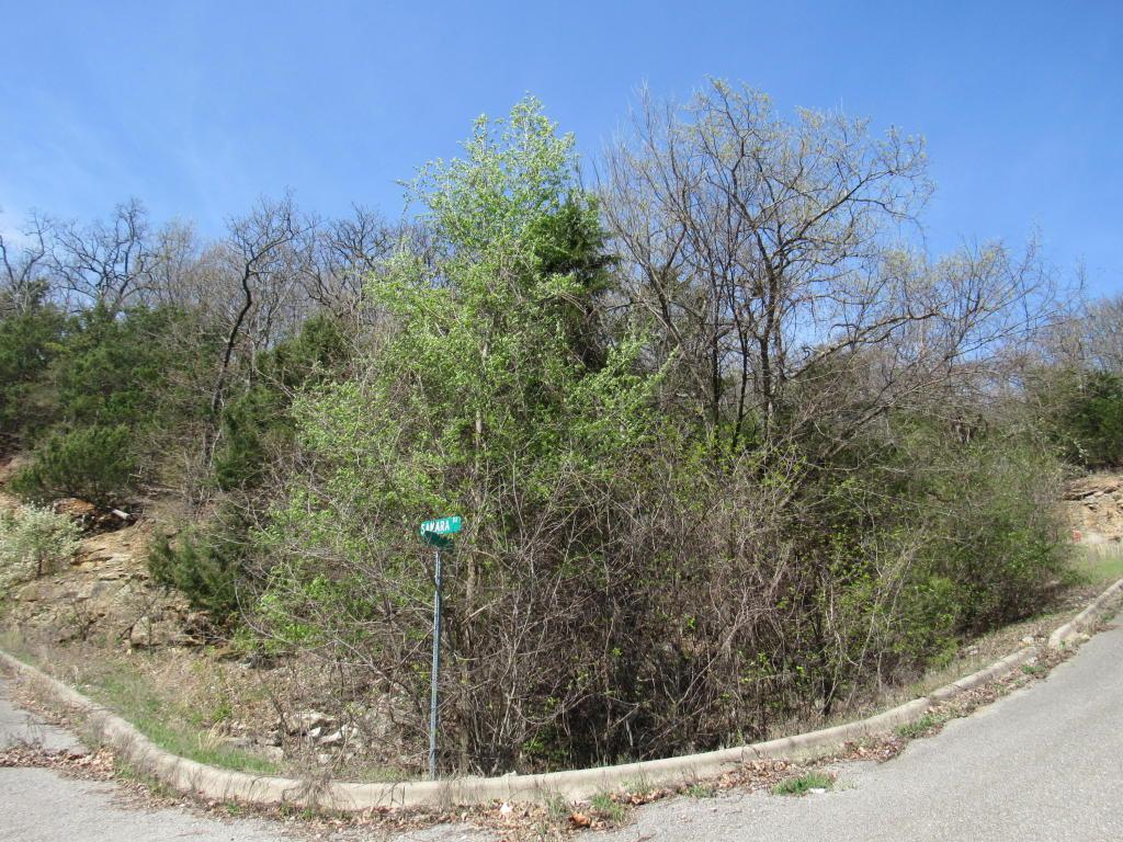 Tbd Sharay Circle - Photo 1