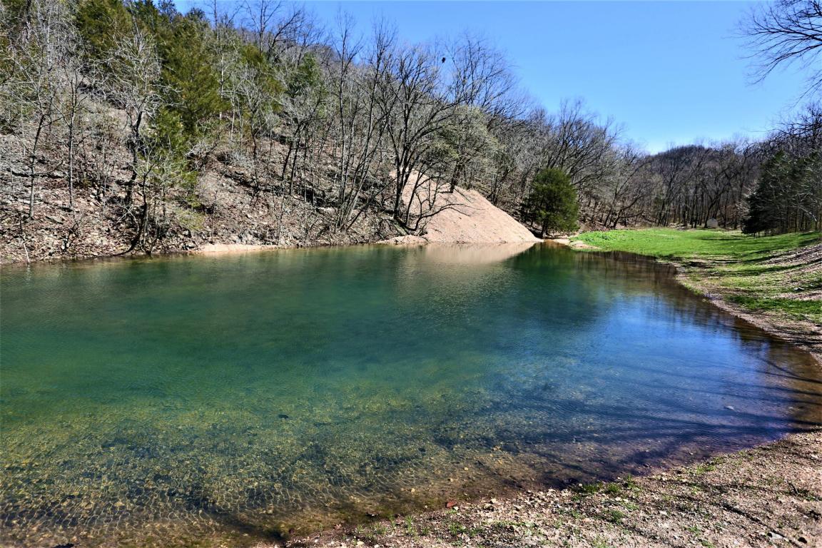 4877 East State Highway 248 - Photo 1