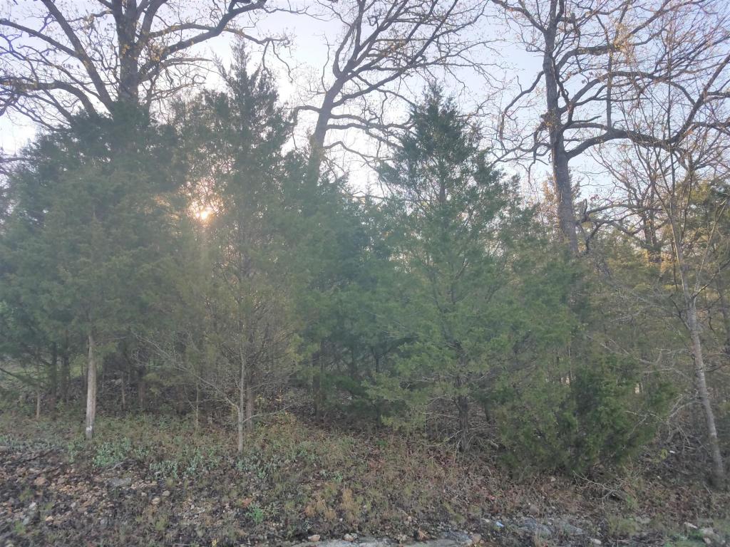 Tbd Maplewood Street - Photo 1