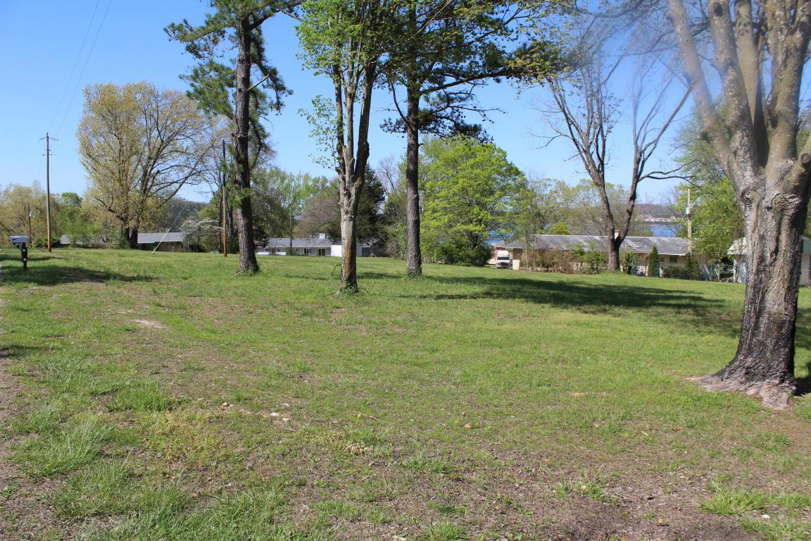 Tbd Ozark View - Photo 1