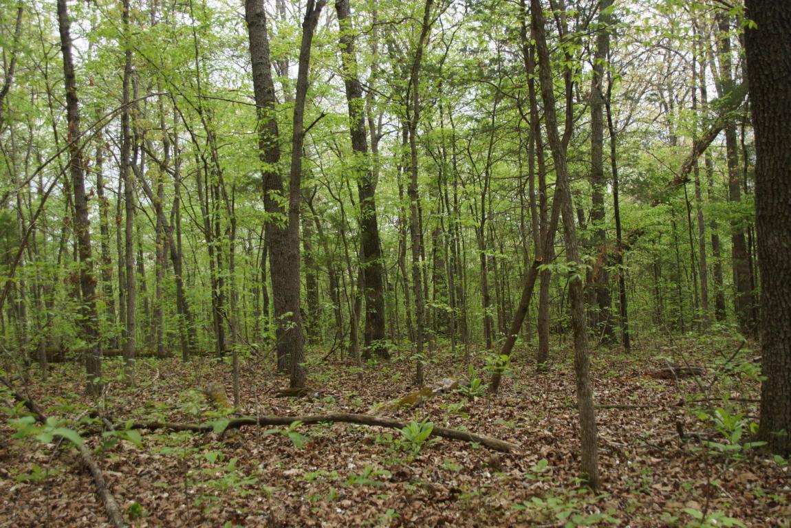Tbd Deep Hollow Road - Photo 1