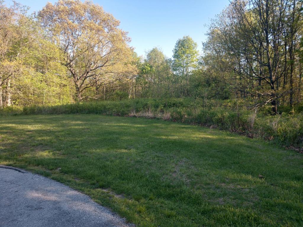 Lot 11 Valley View Road - Photo 1