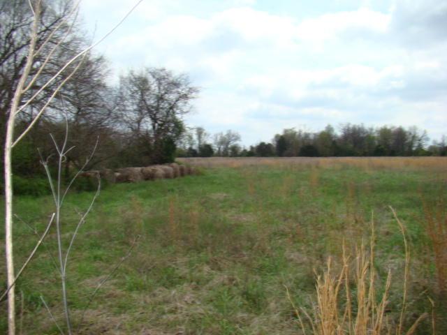 Tbd Brodie Road - Photo 1