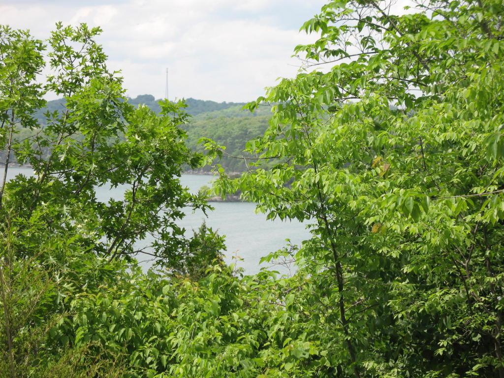 Lot 9 Virgin Bluff Drive - Photo 1