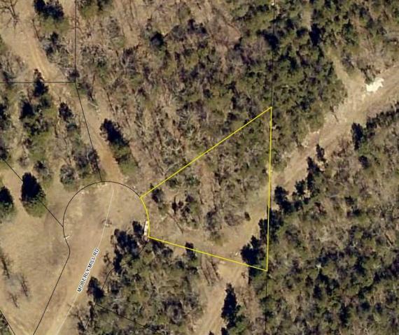 172 Moberly Mill Road - Photo 1