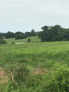 Lot #3 Rolling Green Rd - Photo 1