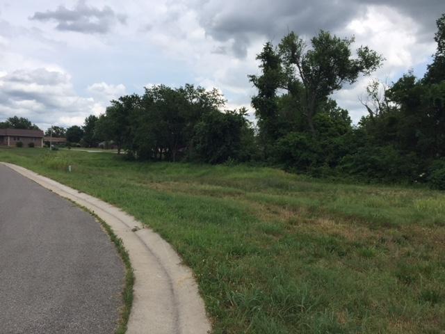 Tbd Pearl Circle - Photo 1