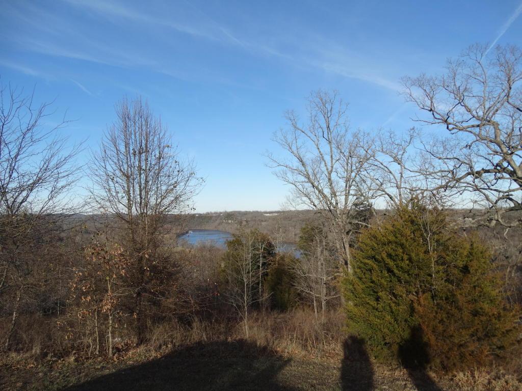 Lot 8 Mountain Grove Rd - Photo 1