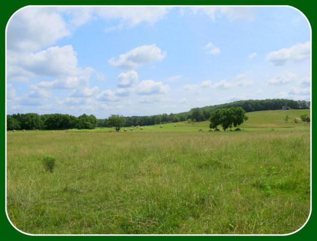 Tbd Red Barn Road - Photo 1