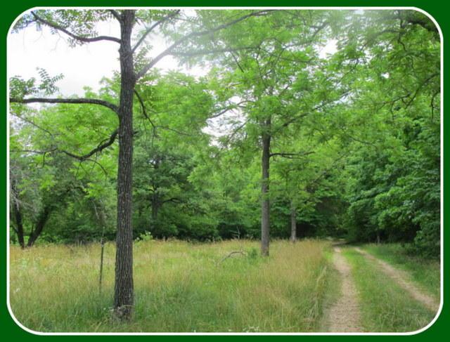 Tbd Walnut Road - Photo 1