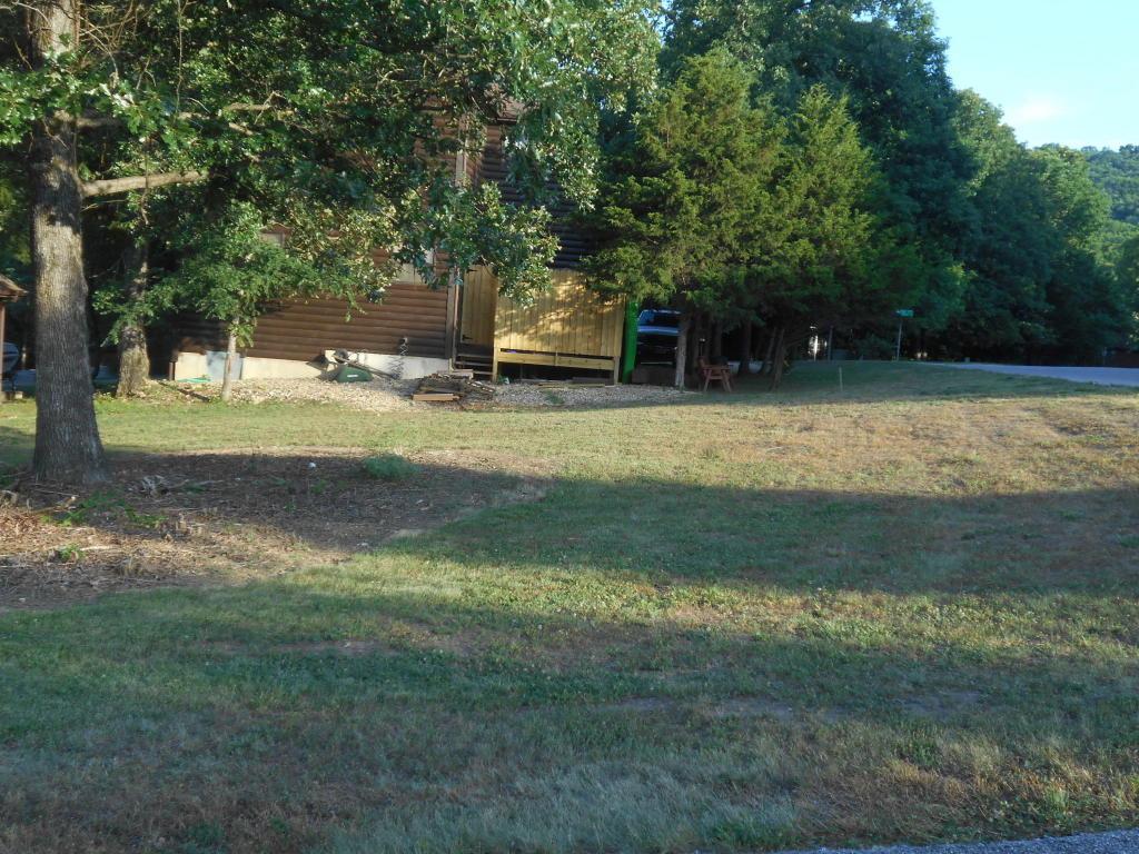 Lot 28 Black Bear Way - Photo 1