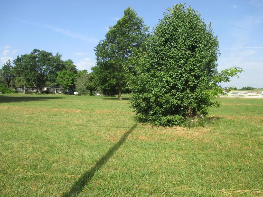 Rt 2 1.2 Acres Hwy B - Photo 1