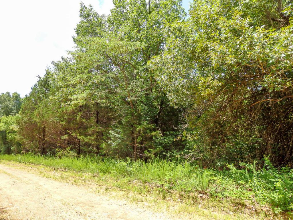 Tbd County Road 648 - Photo 1