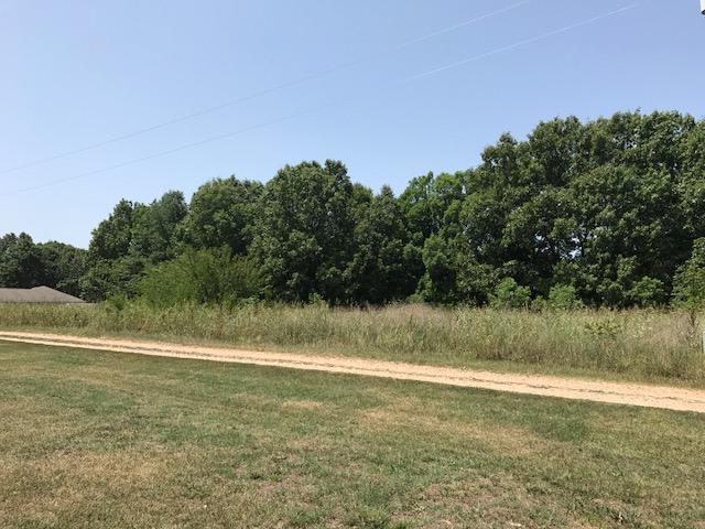 Lot 17 Dogwood Drive - Photo 1