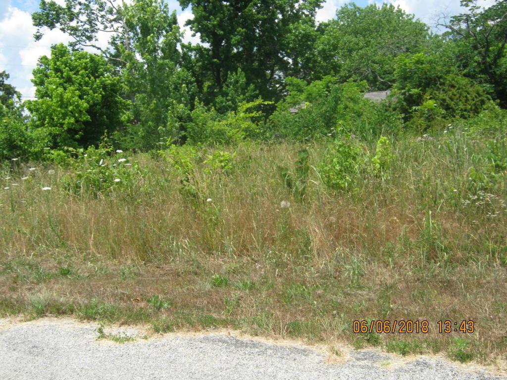 Lots 39&40 Thunder Cliff - Photo 1