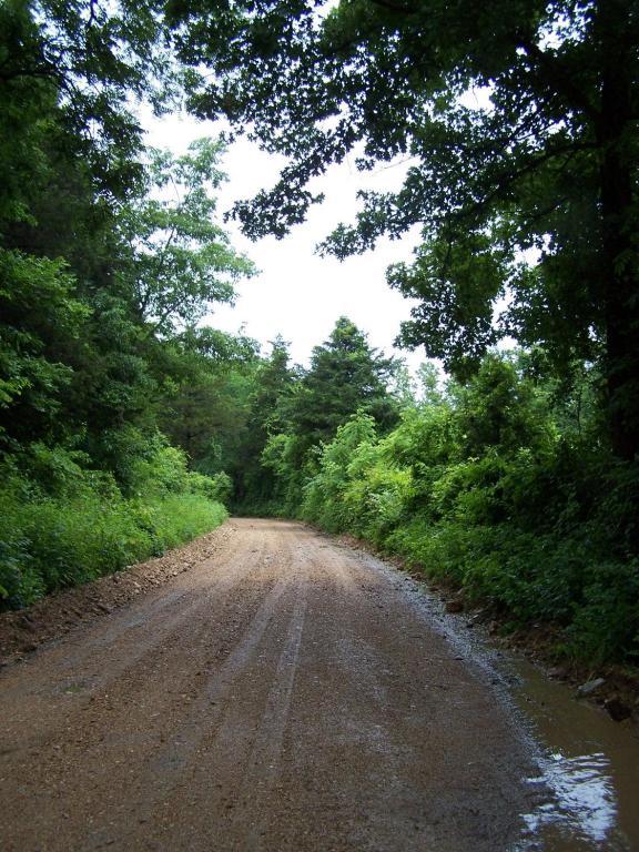 Tbd County Road 228 - Photo 1