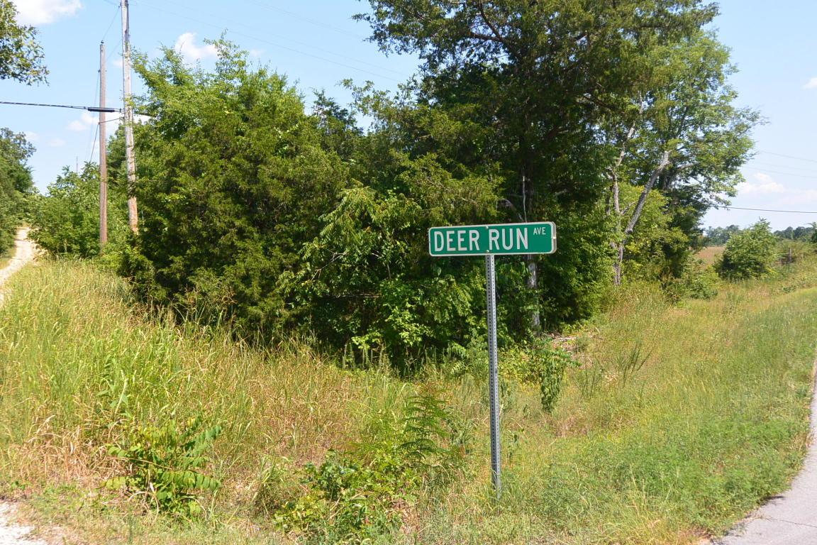 Tbd Deer Run Avenue - Photo 1
