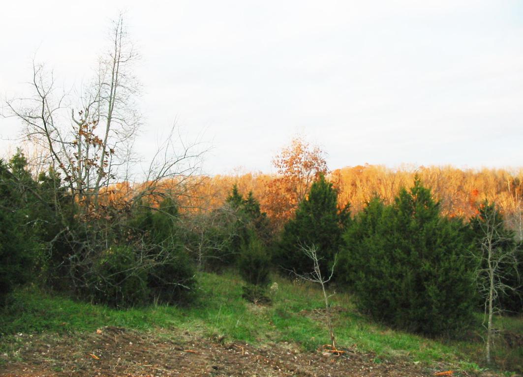6442 Summit View Drive - Photo 1