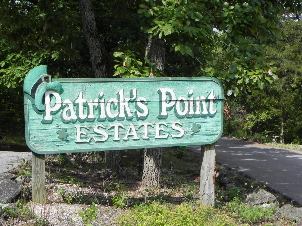 Lot 11 Patrick's Point Rd. Road - Photo 1