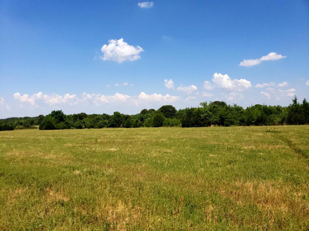 2097 State Hwy Pp - Photo 1
