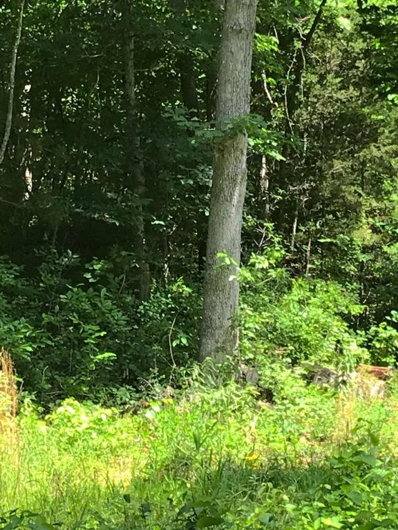 Tbd Highway 201 & County Road 479 - Photo 1