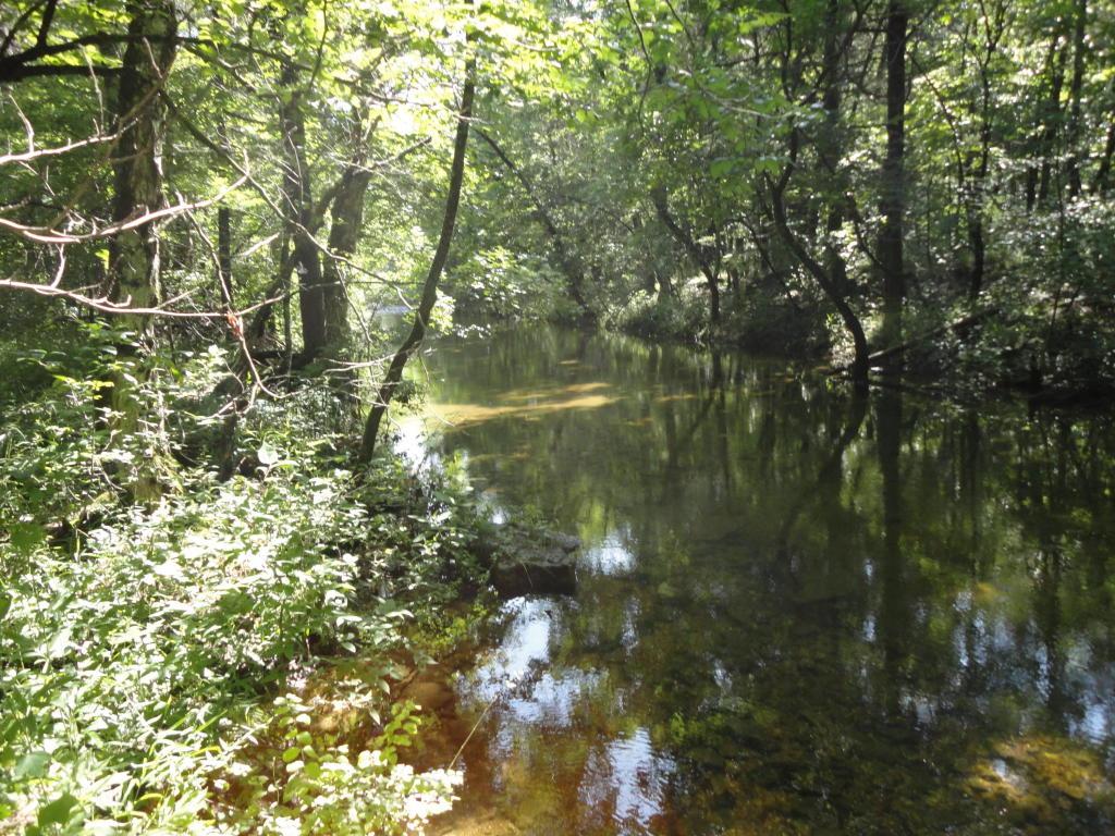 Tbd Coble Road - Photo 1