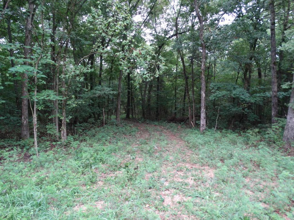 12.22 Ac Clover Rd - Photo 1