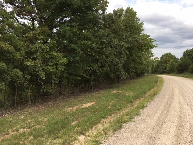Tbd King Road - Photo 1