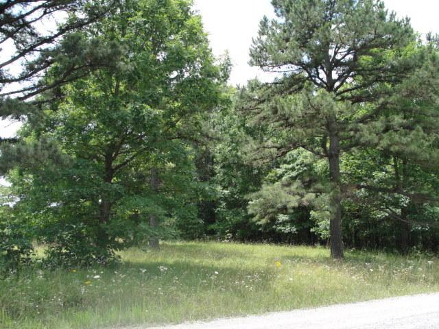 X0x0 Golden Hills Trail - Photo 1