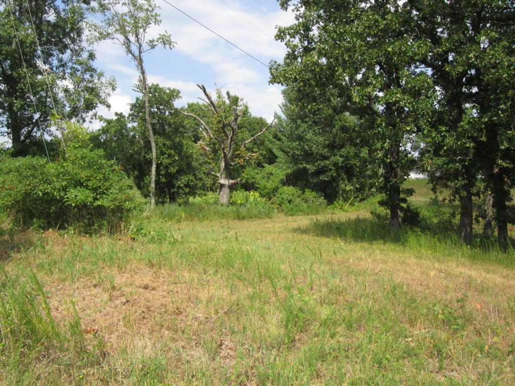 Lot A Ellingsworth Lane - Photo 1