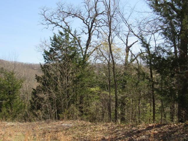 Tbd Skylee Drive - Photo 1