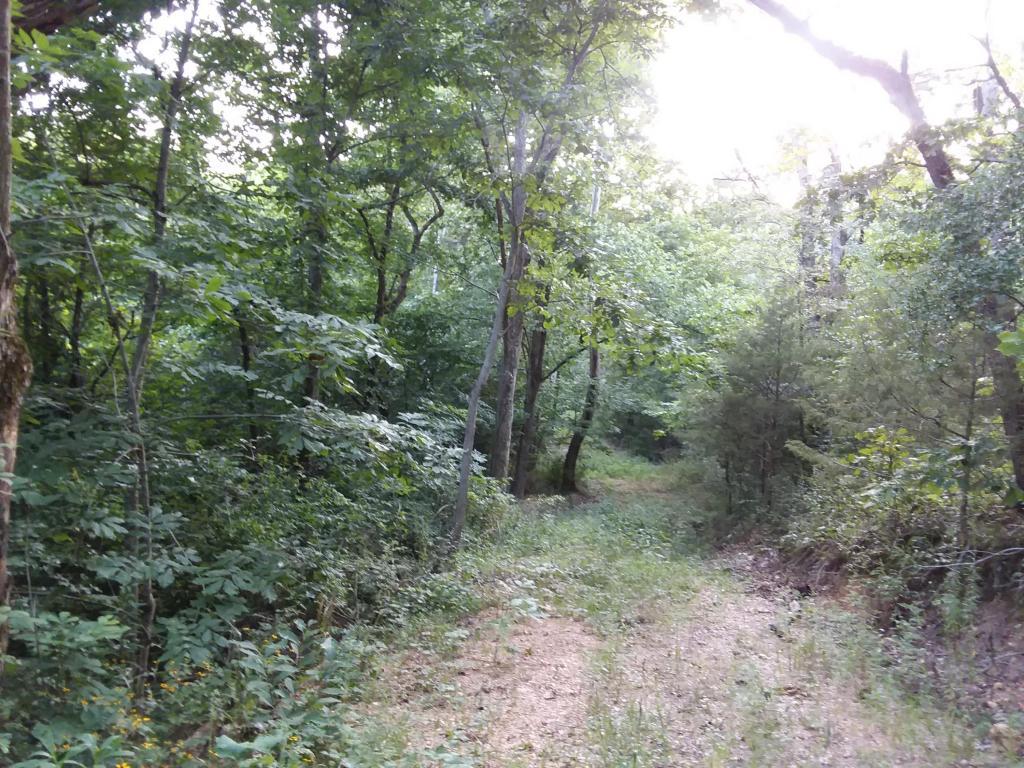 Tbd Happy Hollow Rd - Photo 1