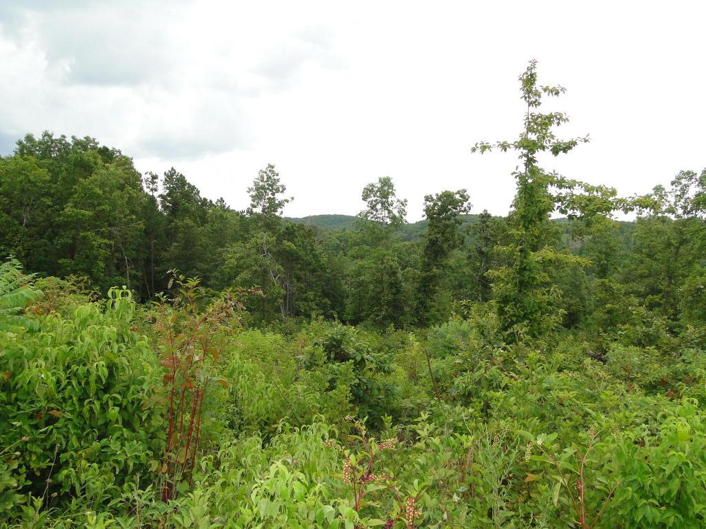 Highway 76 & County Road 400 - Photo 1