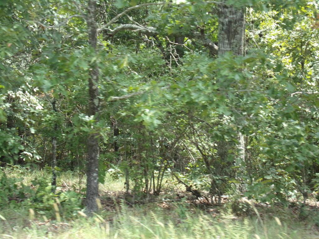 Tbd State Route Nn - Photo 1