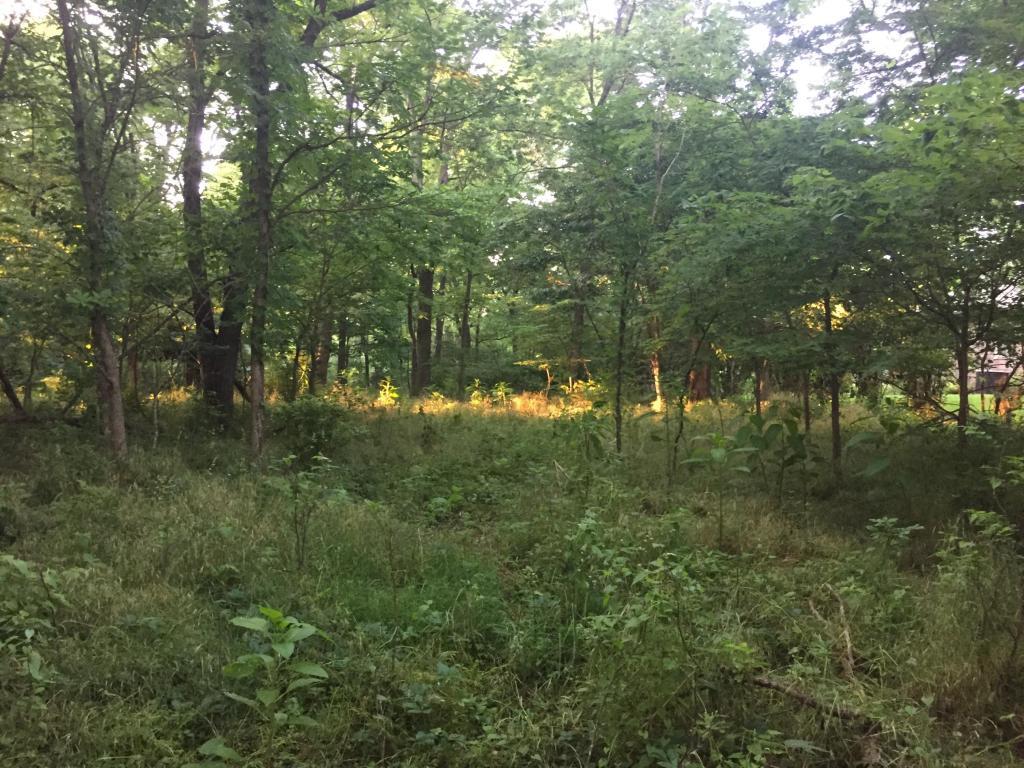 Lots 4&13 Sugarmaple Drive - Photo 1