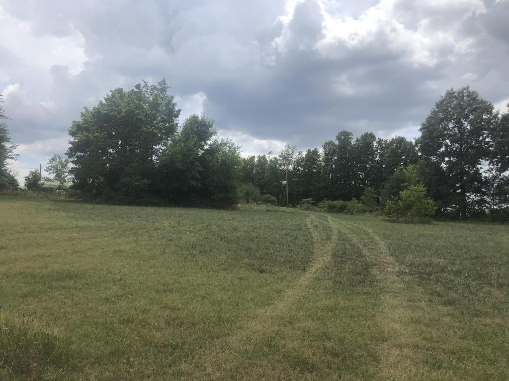 379 F Highway - Photo 1
