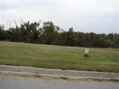 Lot 11 Fox Haven - Photo 1